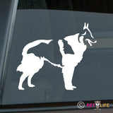 Belgian Sheepdog Sticker