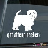 Got Affenpinscher Sticker