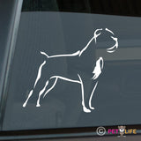 Cane Corso Sticker