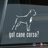 Got Cane Corso Sticker