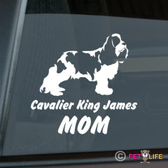 Cavalier King James