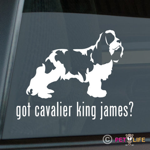 Got Cavalier King James Sticker