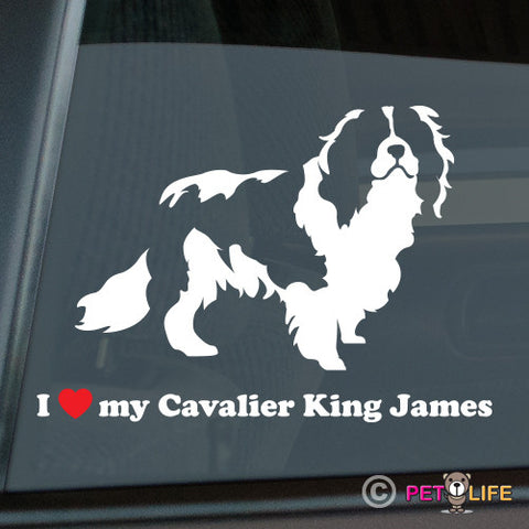 I Love My Cavalier King James Sticker