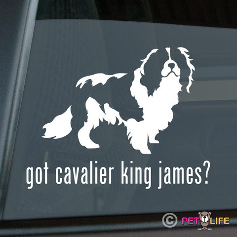 Got Cavalier King James Sticker