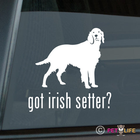 Got Irish Setter Sticker