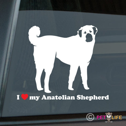 I Love My Anatolian Shepherd Sticker