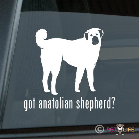 Got Anatolian Shepherd Sticker