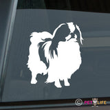 Japanese Chin Sticker