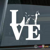 Love Ibizanpark Sticker