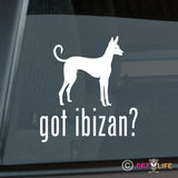 Got Ibizan Sticker