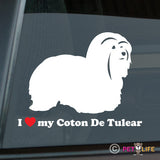 I Love My Coton de Tulear Sticker