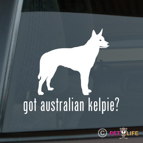 Got Australian Kelpie Sticker