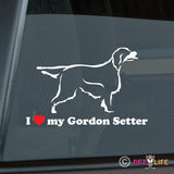 I Love My Gordon Setter Sticker