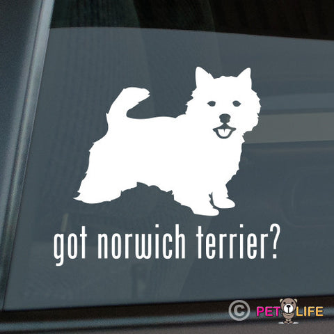 Got Norwich Terrier Sticker