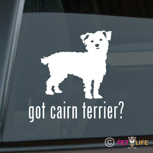 Got Cairn Terrier Sticker