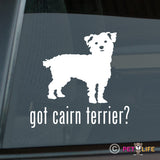 Got Cairn Terrier Sticker