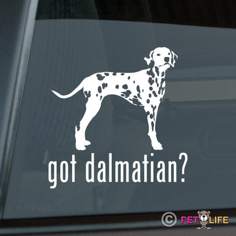 Got Dalmatian Sticker