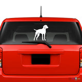 Vizsla Sticker